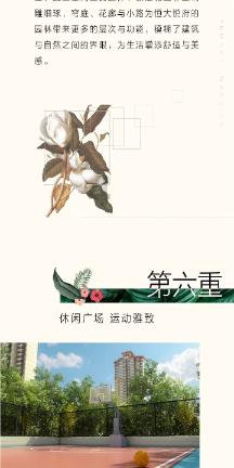 史小坑的爆笑生活11