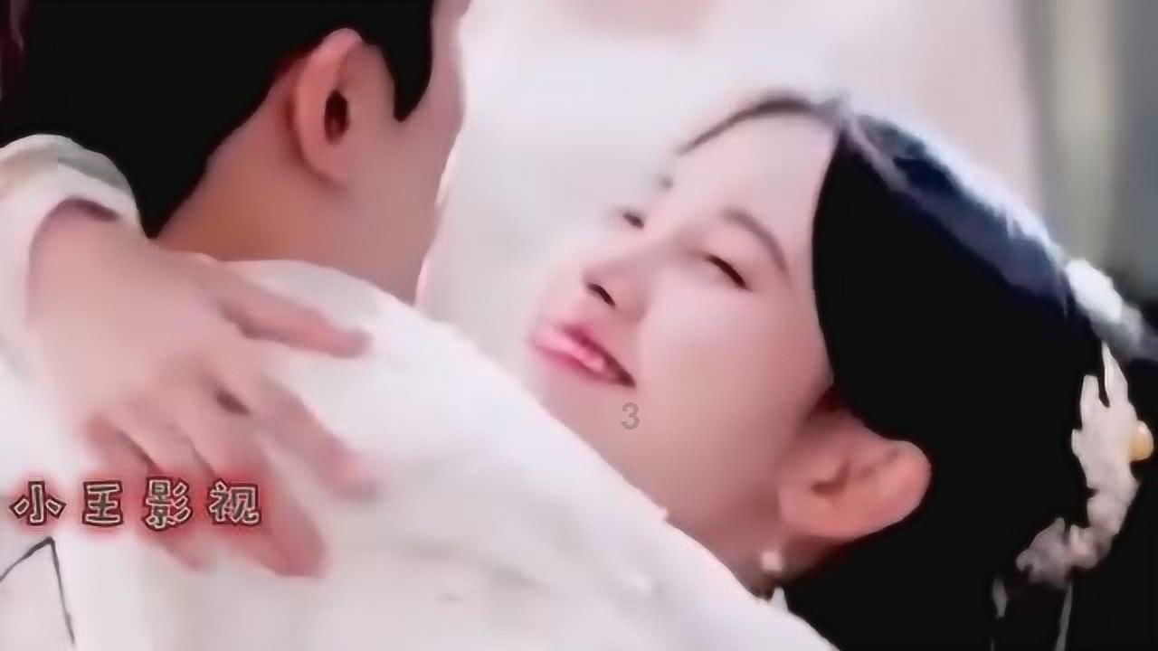 蚂蚁是几维生物