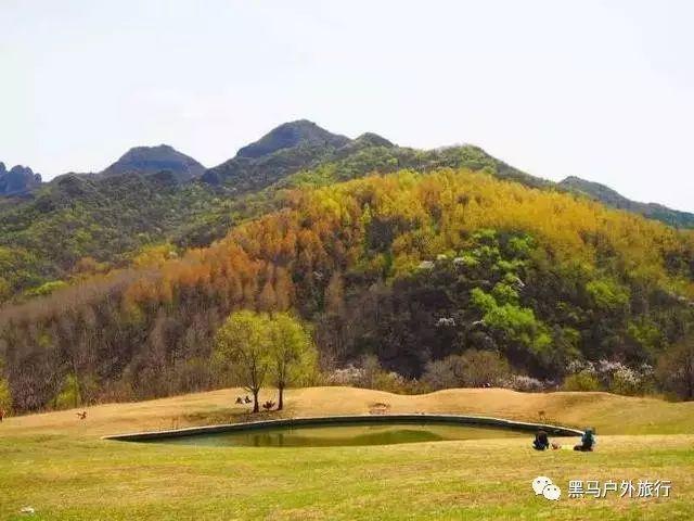 上班族救援