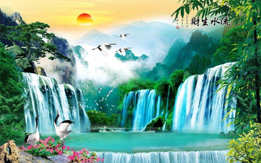 救援白色小猫